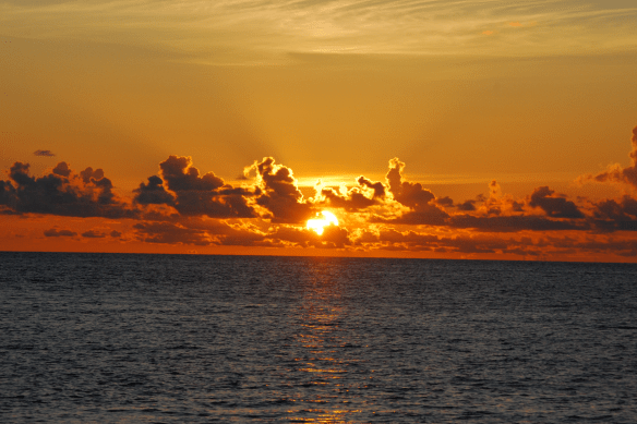 Screen shot 2011-07-21 at 11.39.05 PM