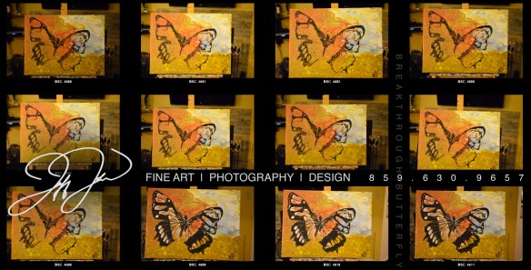 breakthroughbutterfly2