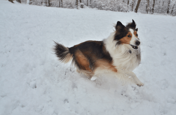 Screen Shot 2012-12-29 at 3.48.29 PM