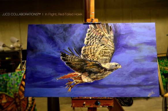 In-FlightRedtailedHawkJJCD