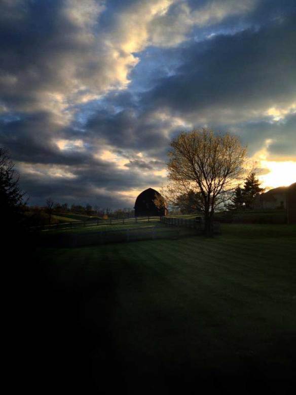 a barn in the neighborhood