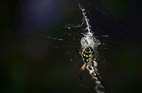 Screen Shot 2013-09-15 at 10.11.41 AM